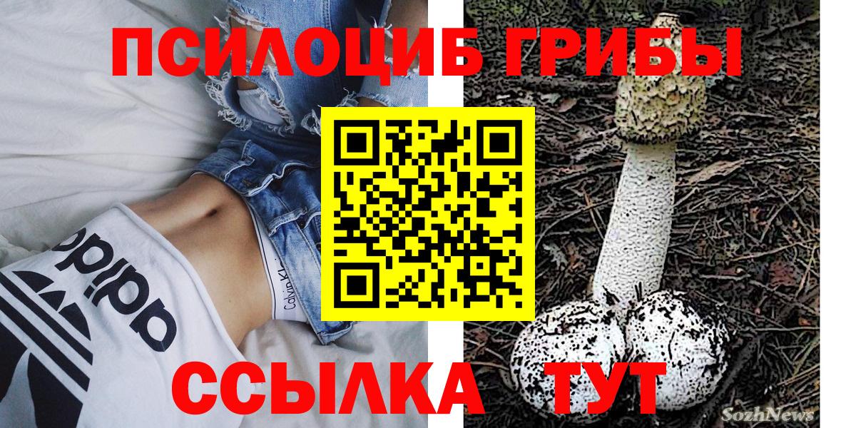 Галлюциногенные грибы Psilocybine cubensis Сочи