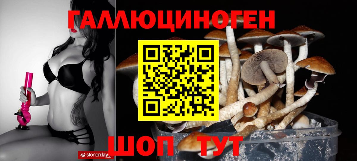 даркнет сайт  Псилоцибиновые грибы Magic Shrooms  Сочи  Вход с VPN  Галлюциногенные грибы GOLDEN TEACHER 